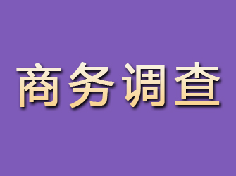 巨野商务调查